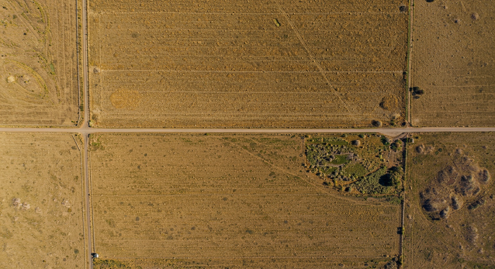 Ortofoto cenital de un predio agrícola con deslindes marcados